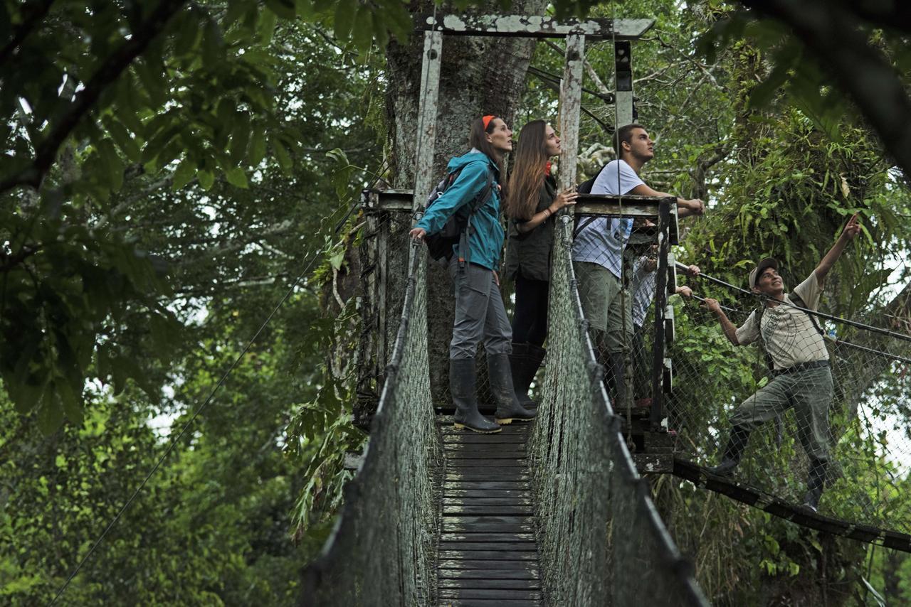 Amazon Field Station Byinkaterra Vandrehjem Puerto Maldonado Eksteriør billede